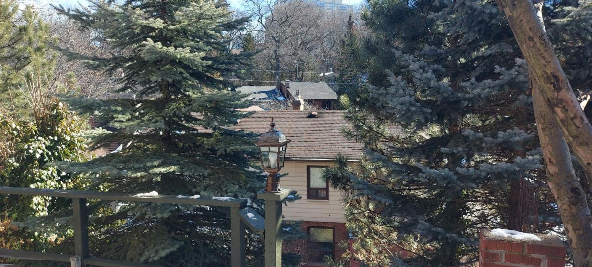 High Park Single Room With Personal Washroom And Kitchen Toronto Ngoại thất bức ảnh
