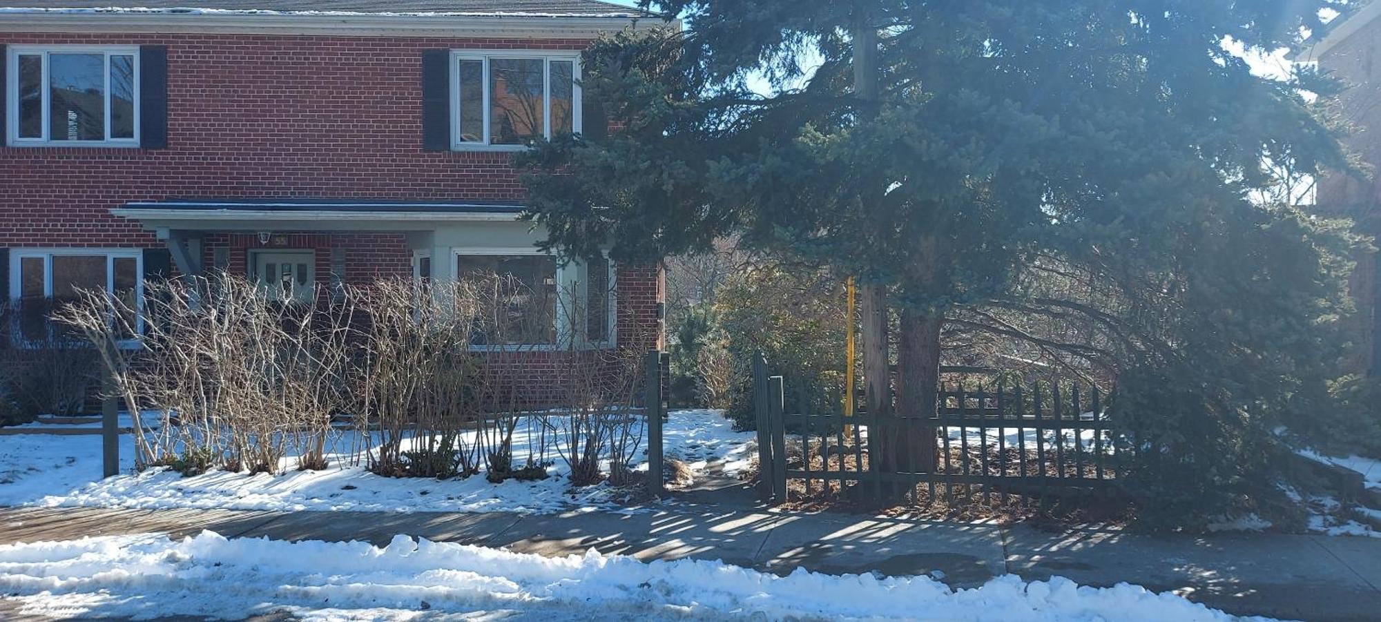 High Park Single Room With Personal Washroom And Kitchen Toronto Ngoại thất bức ảnh