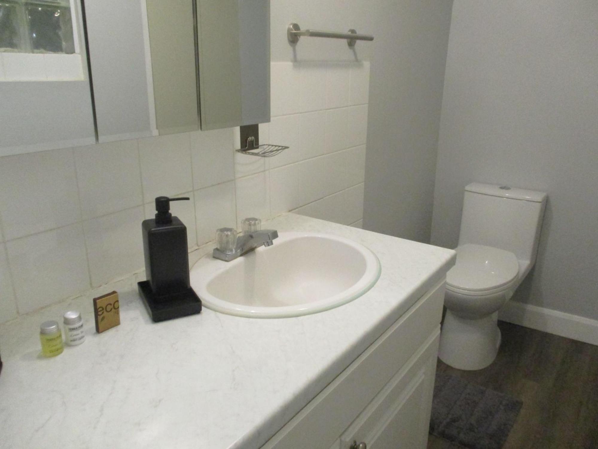 High Park Single Room With Personal Washroom And Kitchen Toronto Ngoại thất bức ảnh