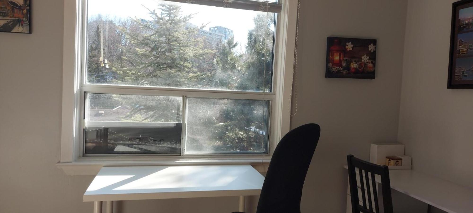 High Park Single Room With Personal Washroom And Kitchen Toronto Ngoại thất bức ảnh